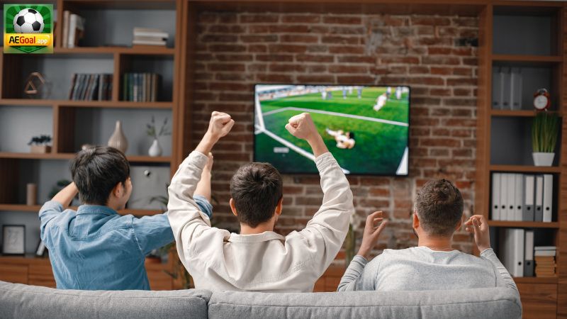 Aegoal được hình thành để phục vụ người đam mê bóng đá