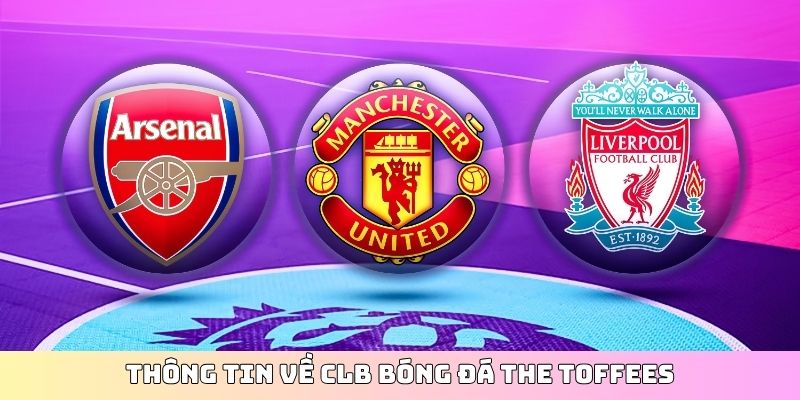 Thông tin về CLB bóng đá The Toffees